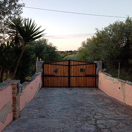Villa Relax Tra Gli Ulivi Alguer Exterior foto