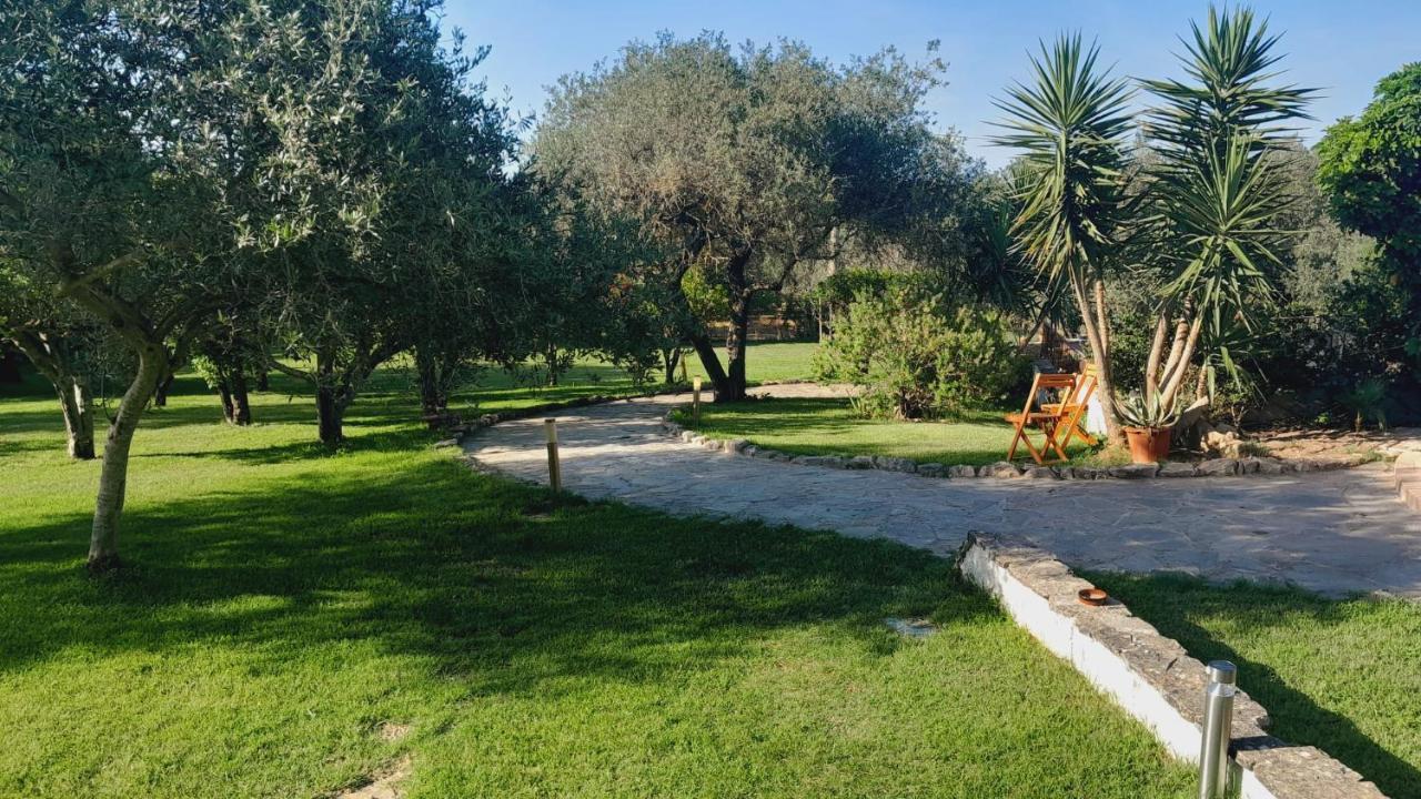 Villa Relax Tra Gli Ulivi Alguer Exterior foto
