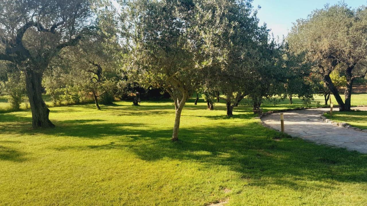 Villa Relax Tra Gli Ulivi Alguer Exterior foto